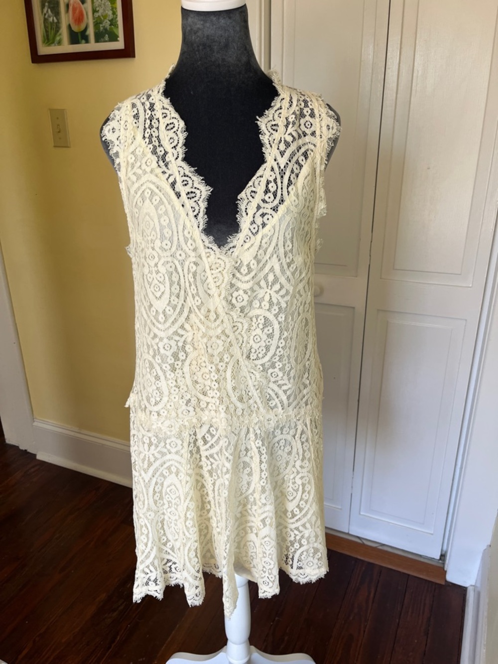 Free People Ivory Lace Sleeveless V-Neck Drop-Waist Mini Dress